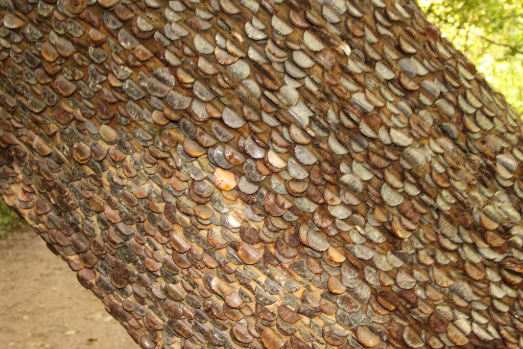 Деньги не растут на деревьях… или все-таки растут?