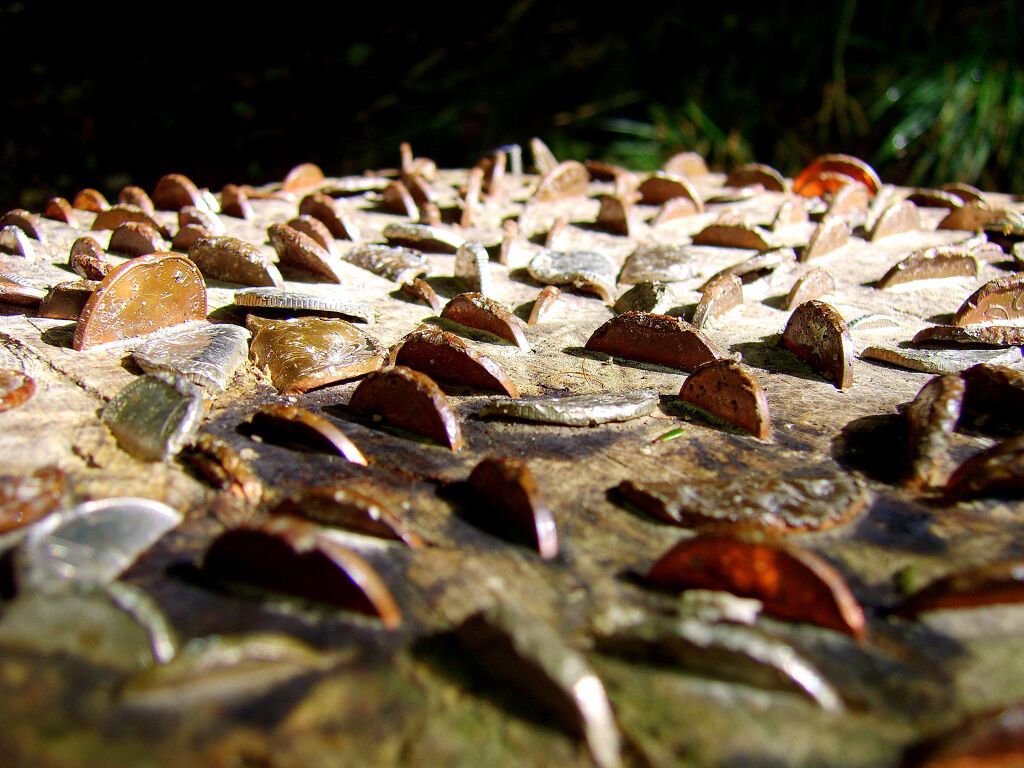 Деньги не растут на деревьях… или все-таки растут?