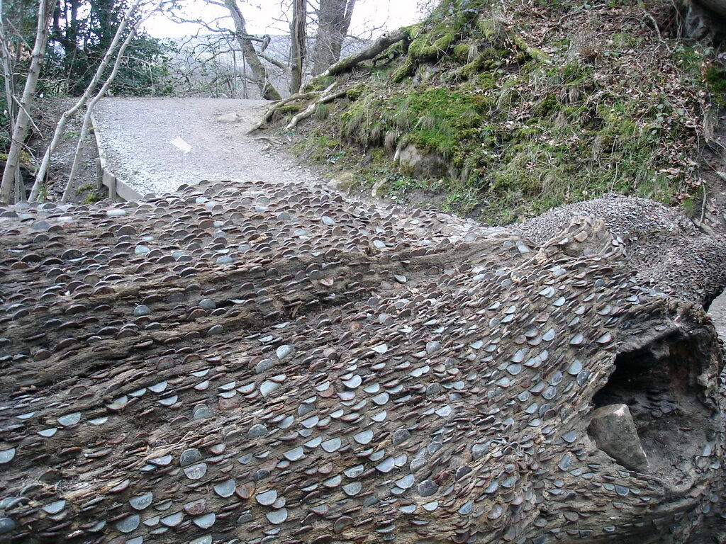 Деньги не растут на деревьях… или все-таки растут?