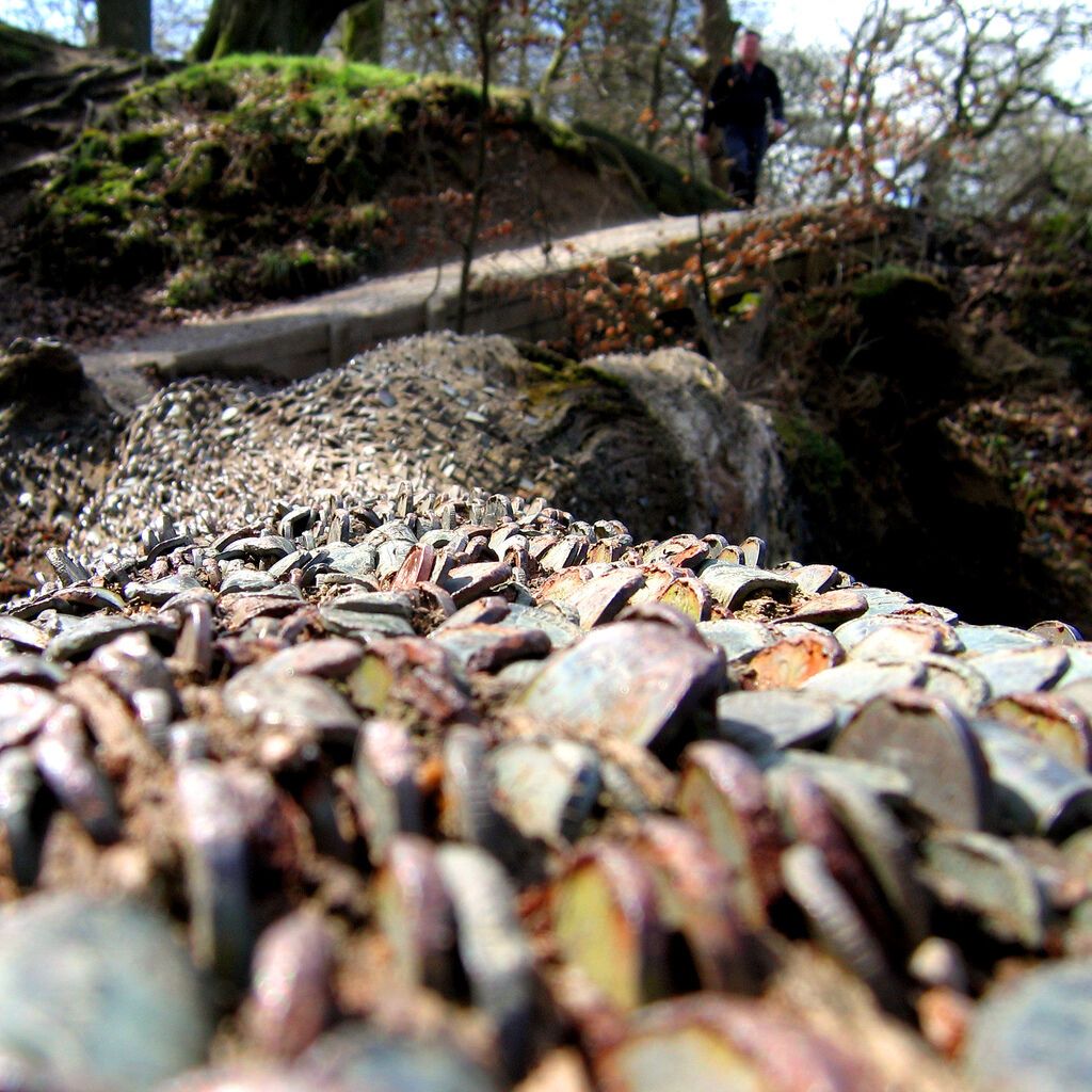 Деньги не растут на деревьях… или все-таки растут?