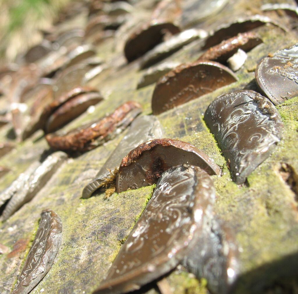 Деньги не растут на деревьях… или все-таки растут?