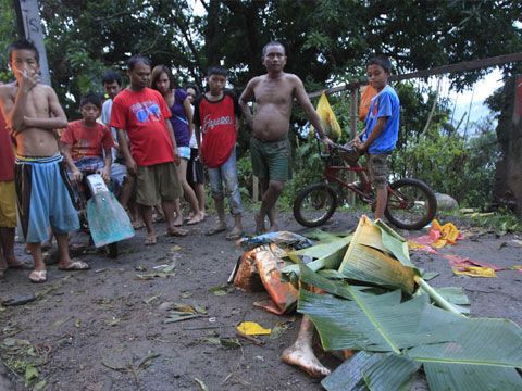 Растет число погибших в результате шторма на Филиппинах. Фото. Видео