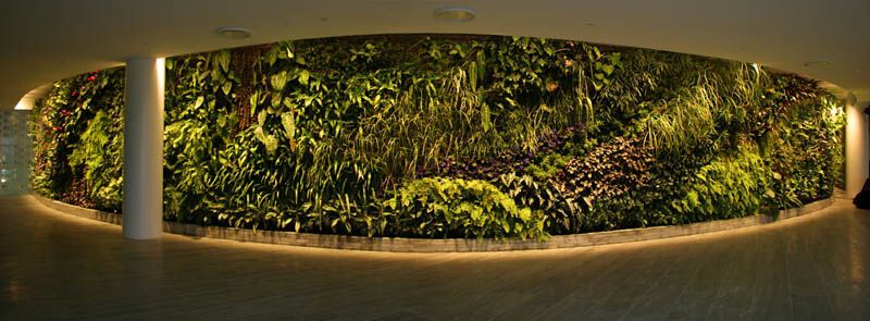 Вертикальні сади Патріка Блана