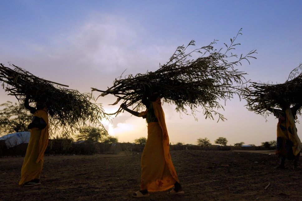 Sudanese refugee women carry branches fo