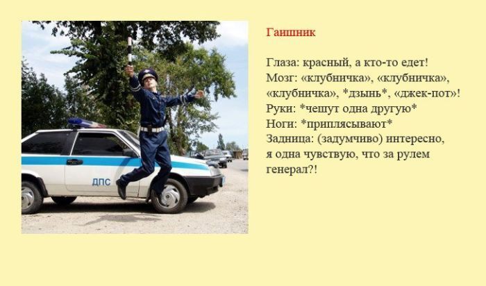 Определены "разновидности" водителей и их поведение на дороге. Фото