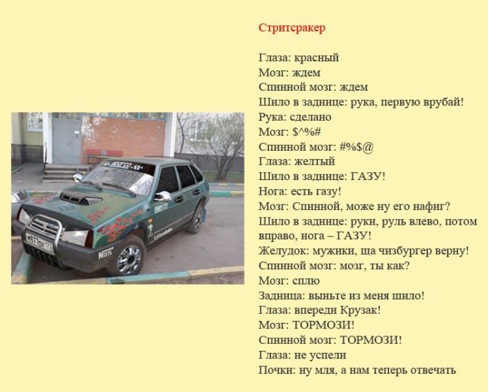 Определены "разновидности" водителей и их поведение на дороге. Фото