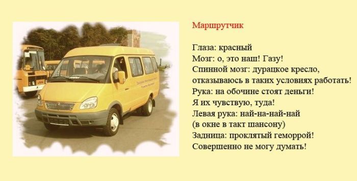 Определены "разновидности" водителей и их поведение на дороге. Фото