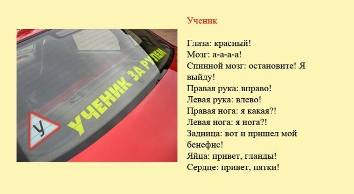 Определены "разновидности" водителей и их поведение на дороге. Фото