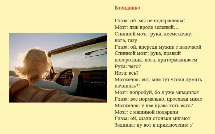 Определены "разновидности" водителей и их поведение на дороге. Фото