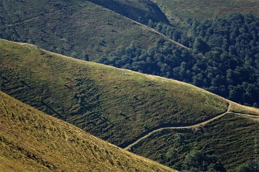 Летние Карпаты от фотографа Олега Григорьева