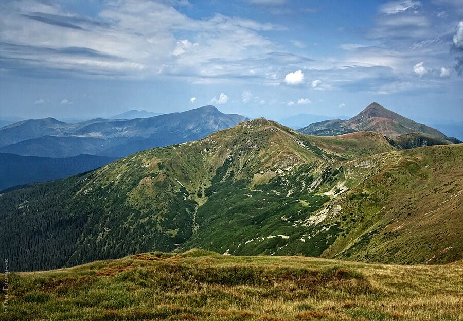 Летние Карпаты от фотографа Олега Григорьева