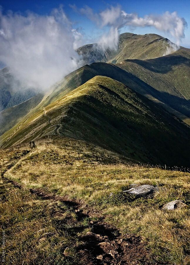 Летние Карпаты от фотографа Олега Григорьева