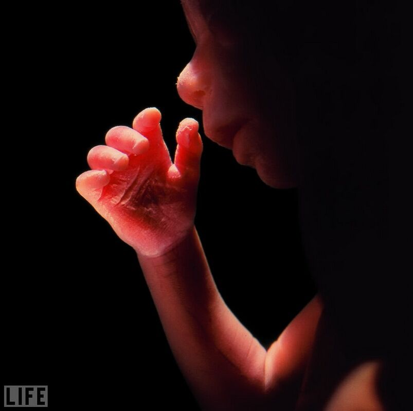 Легендарні фотографії журналу LIFE