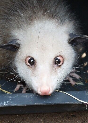 Весь світ в 25 фотографіях