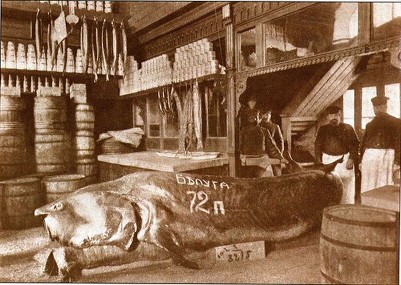 Кращі фото старої Москви за 2011 рік