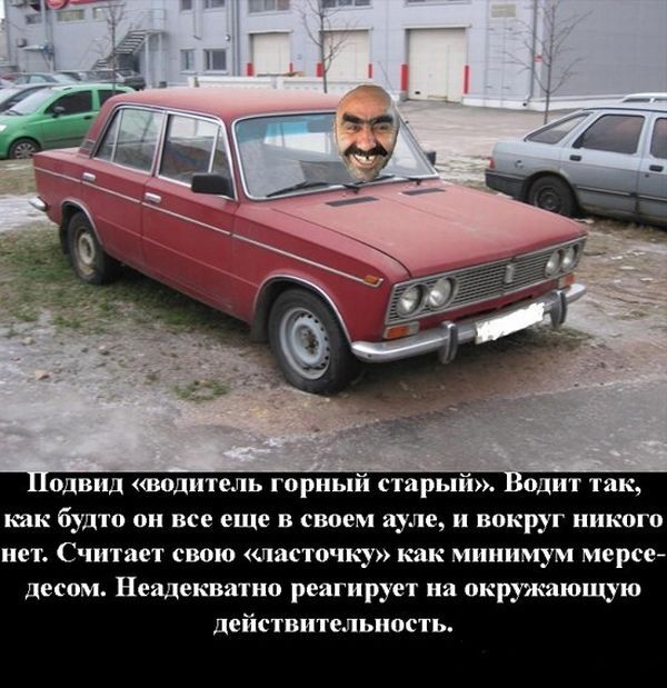 Составлена классификация водителей, угодивших в пробку