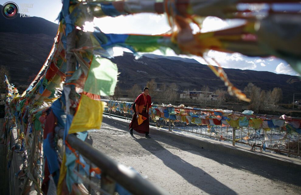 Тибетські черниці