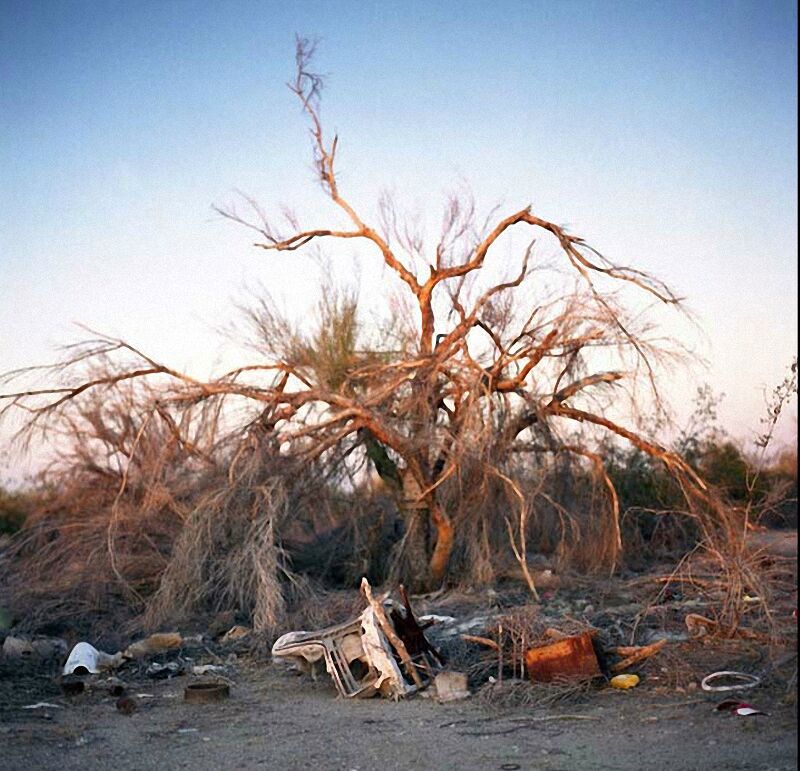 Город разбитых надежд и безграничной свободы