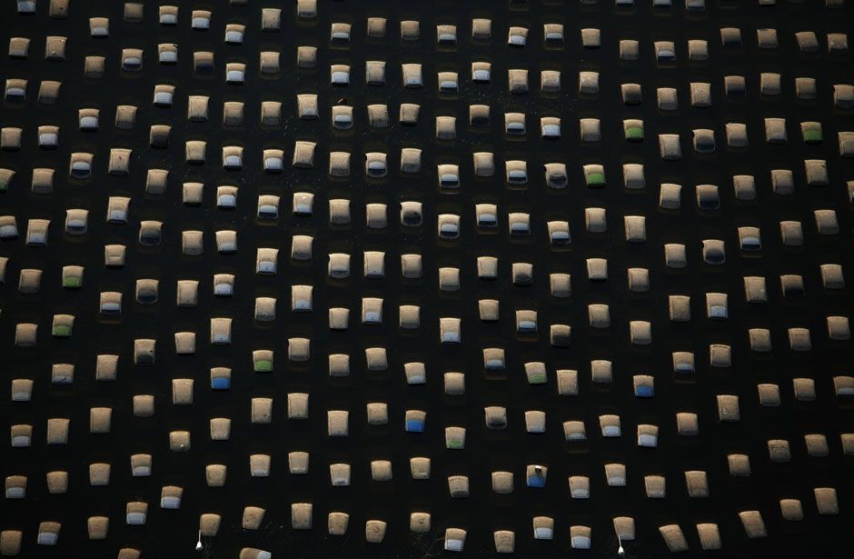 Лучшие фото информагентств за ноябрь (Часть 2)