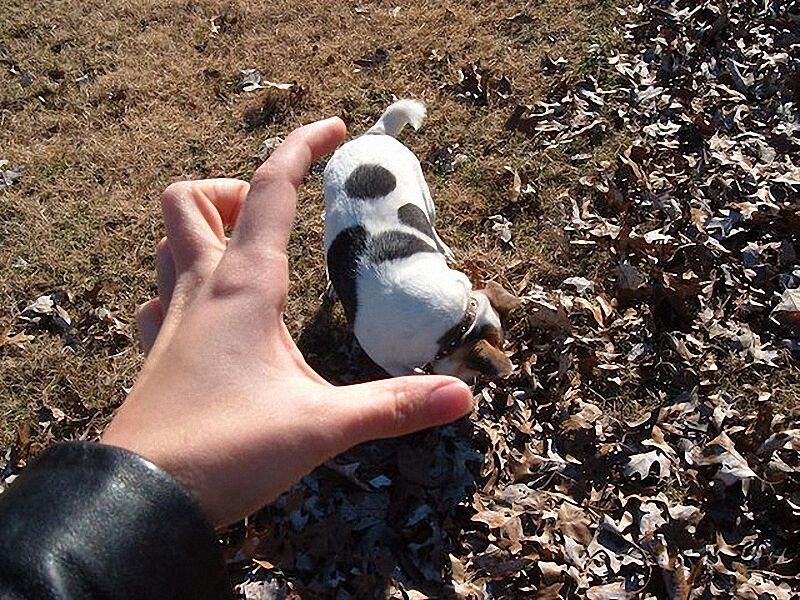 Оптический обман в фотографии (часть 2)