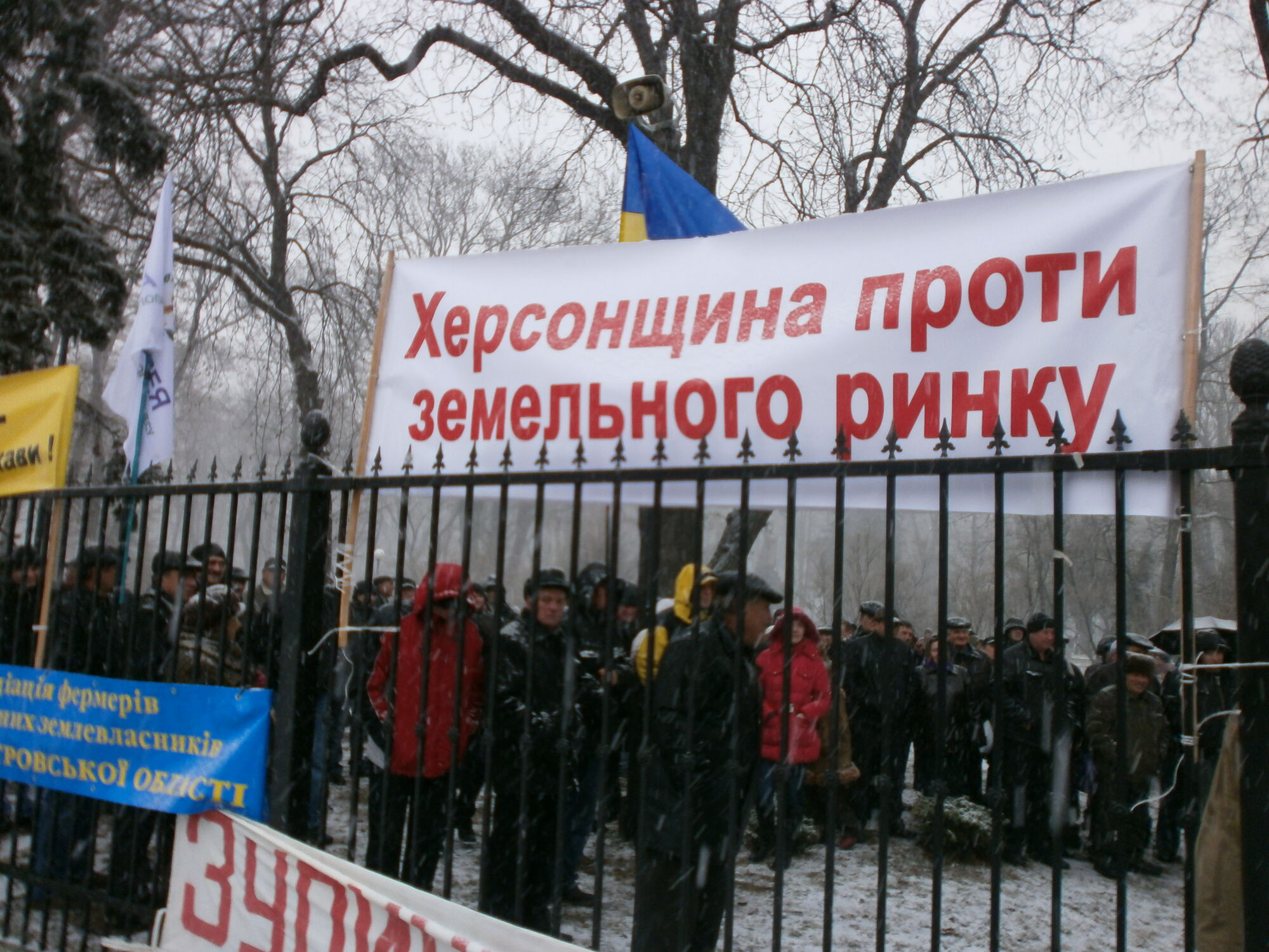 Ляшко привів під парламент ... корову