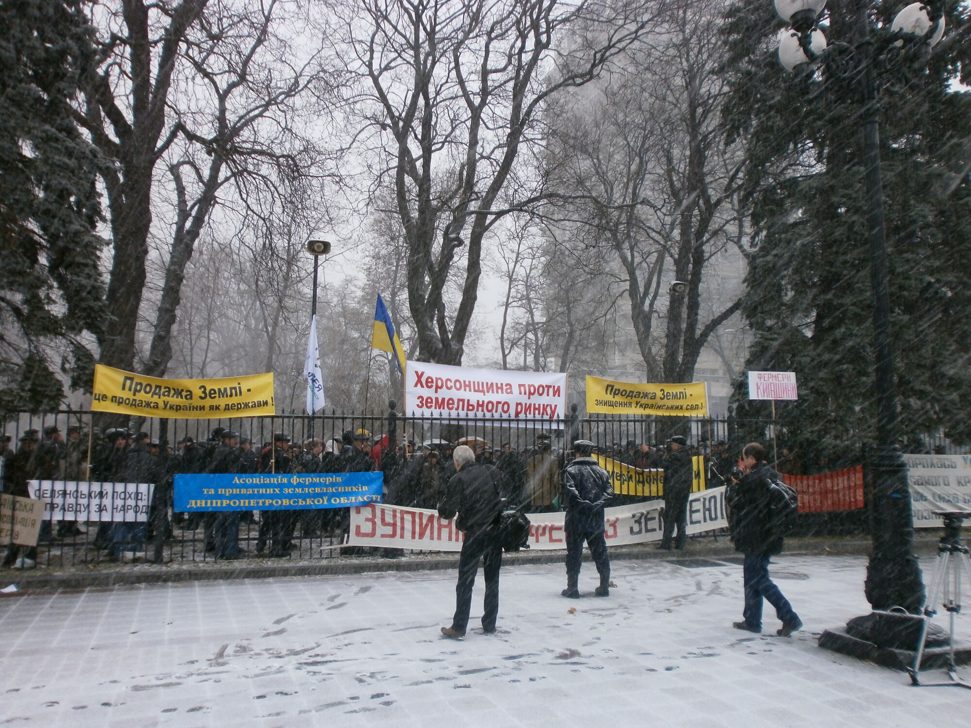 Ляшко привів під парламент ... корову