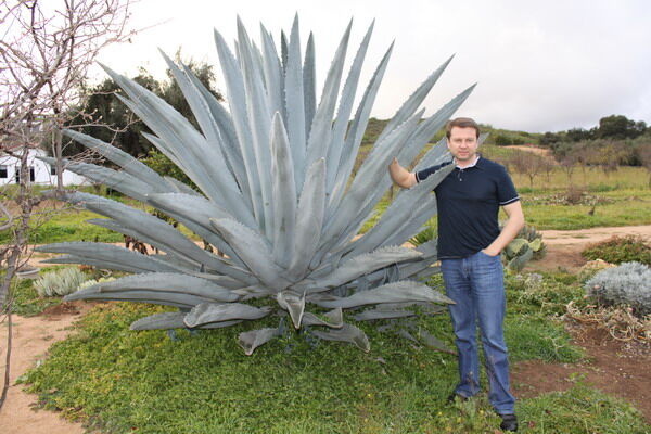 Мика Ньютон кооперируется с Мерайей Кэрри