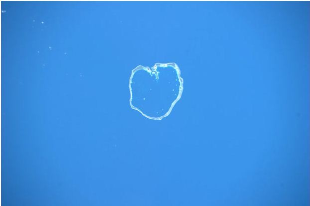 Фотографии из космоса