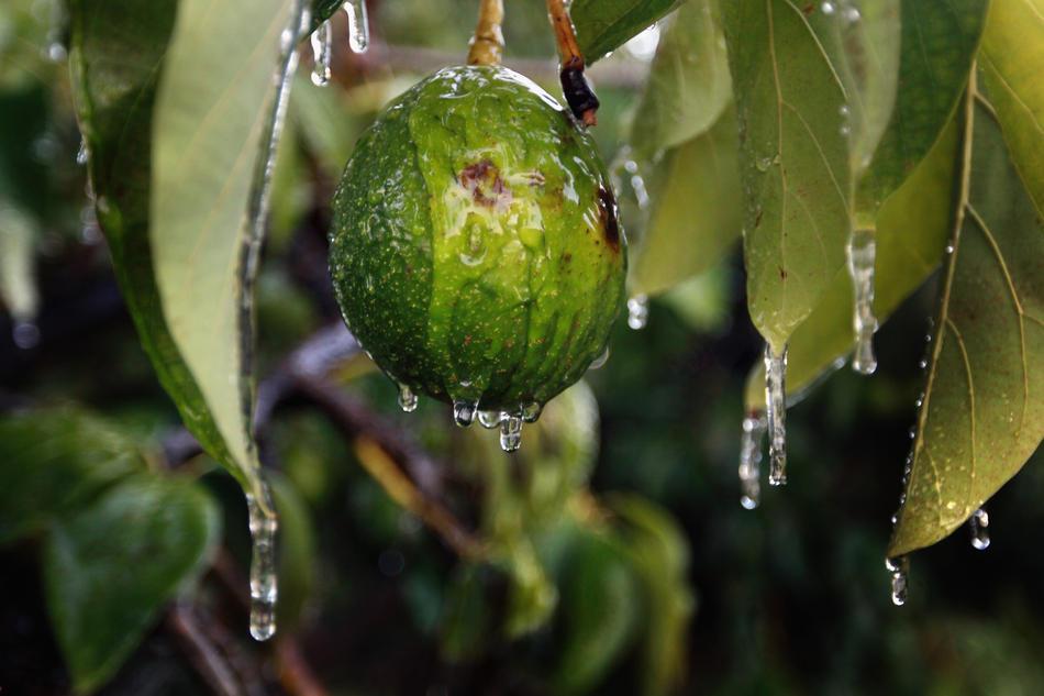 Последний месяц холодной зимы 2011