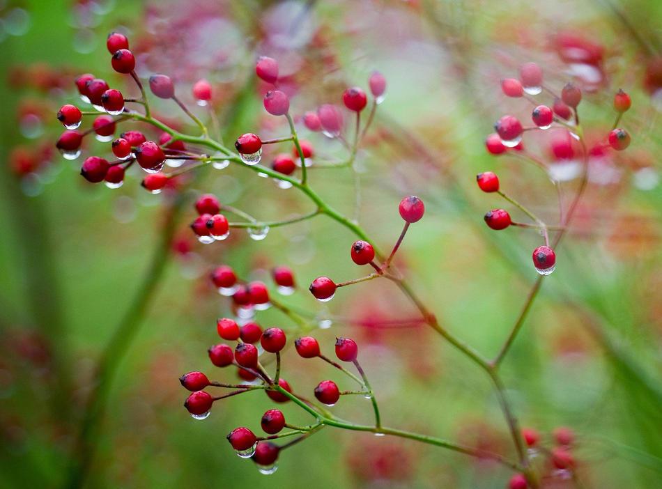 Последний месяц холодной зимы 2011