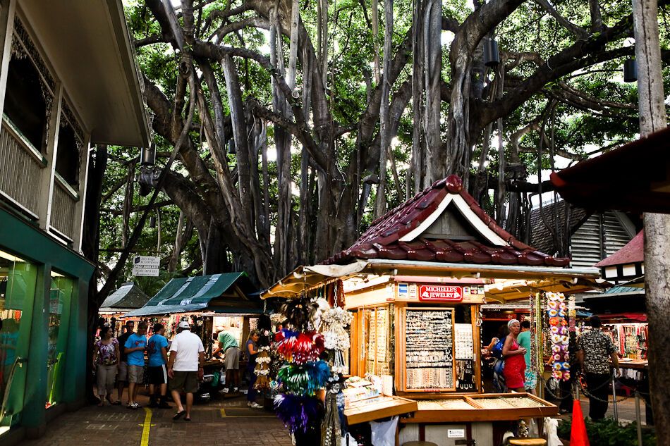 Путешествие на Гавайи