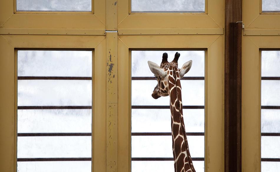 Последний месяц холодной зимы 2011