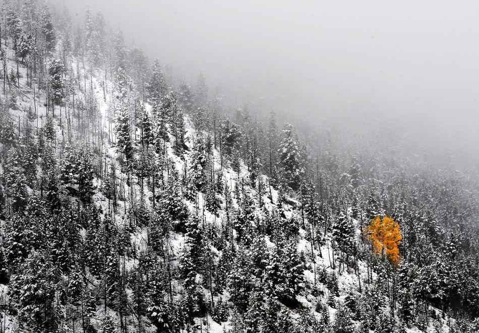 Последний месяц холодной зимы 2011