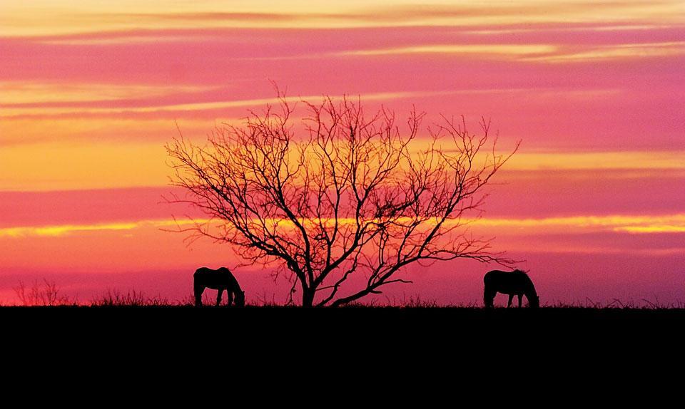 Картина дня: 24 февраля в фотографиях