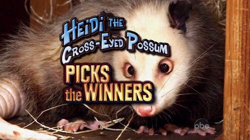 Косоглазый опоссум предсказал Портман победу на «Оскаре»