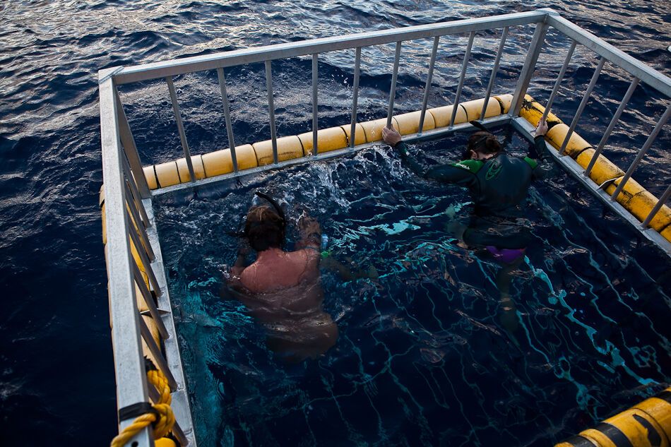 Путешествие на Гавайи