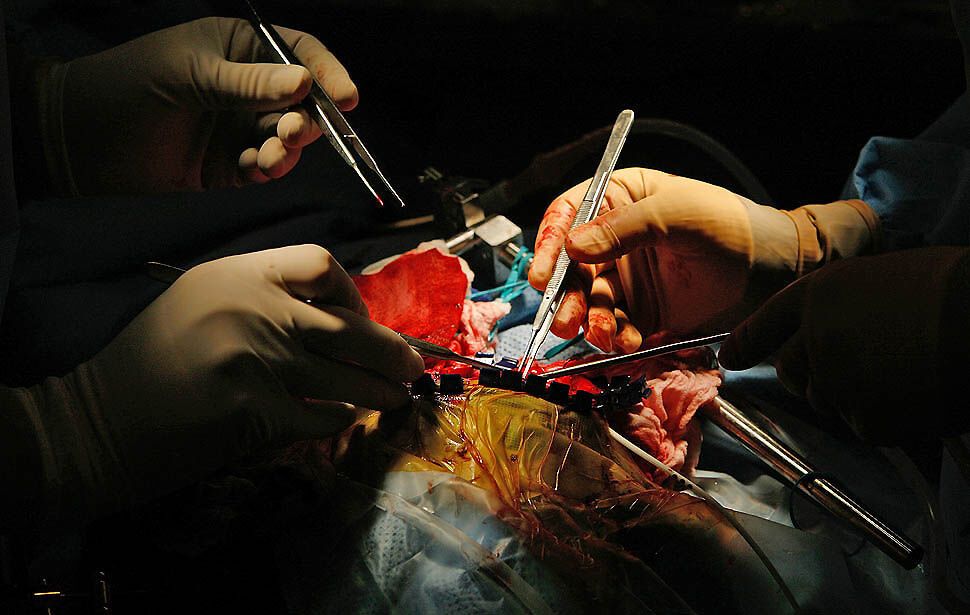 Спасение маленького Дилана Катания