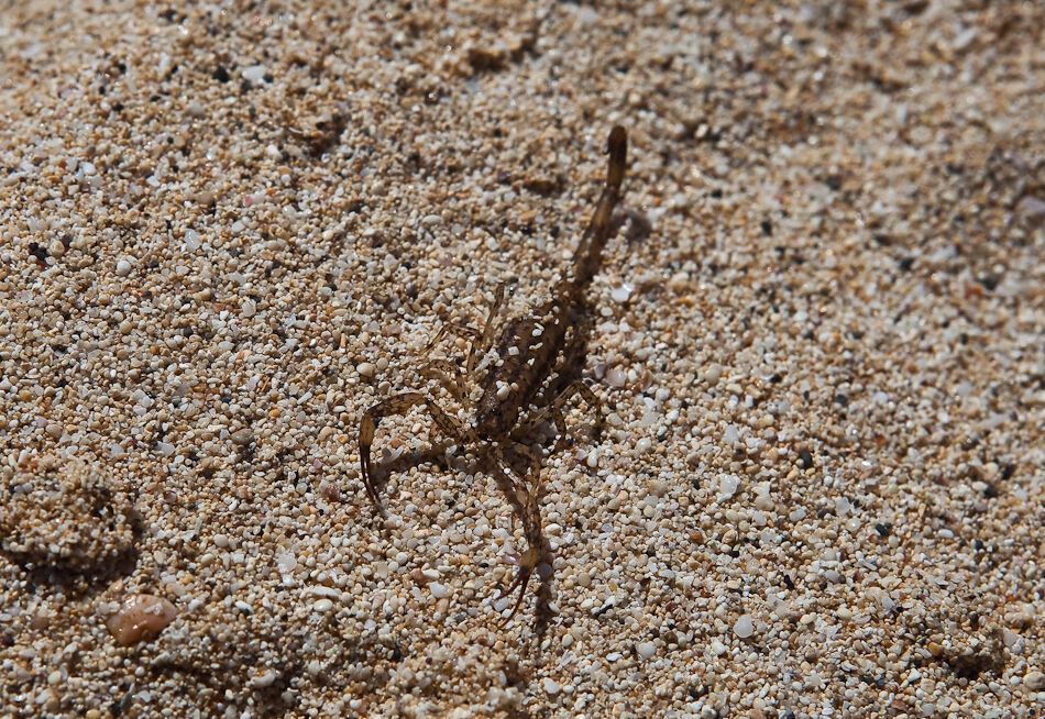 Путешествие на Гавайи