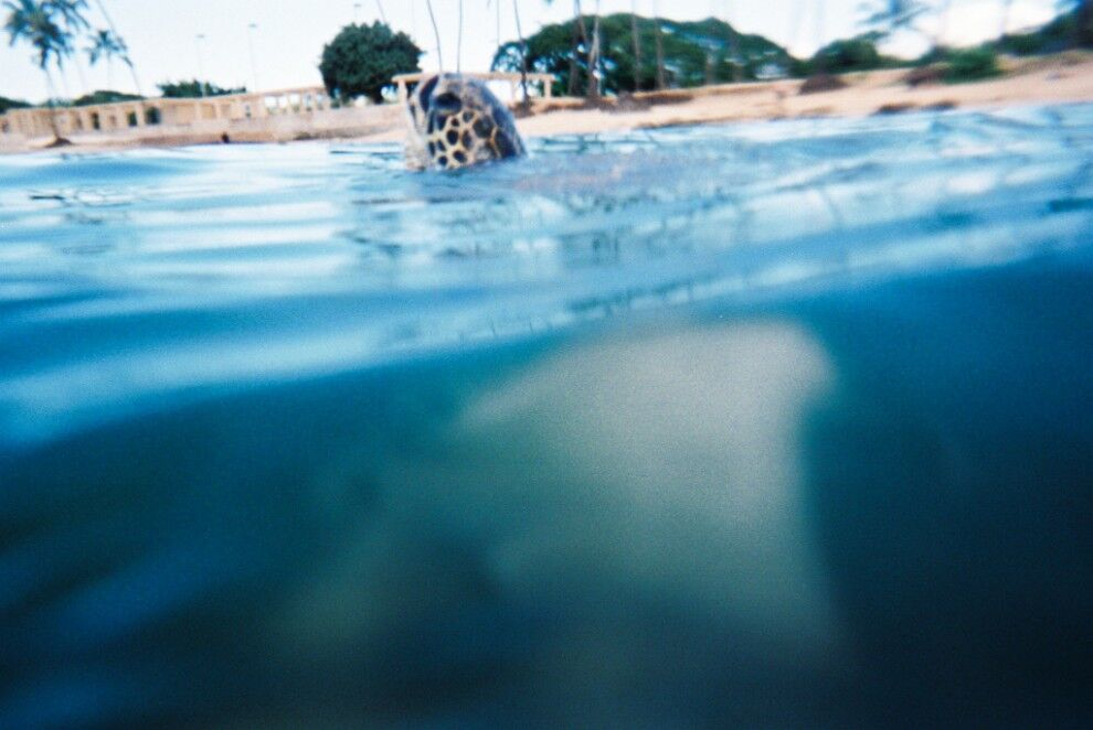 Путешествие на Гавайи