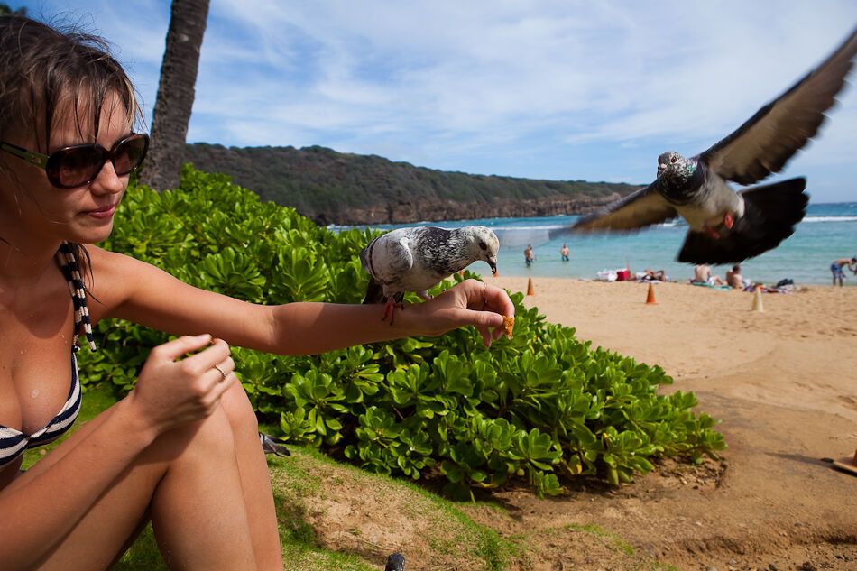 Путешествие на Гавайи