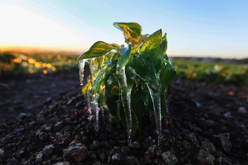 Последний месяц холодной зимы 2011