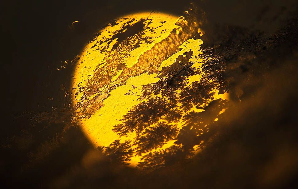 Картина дня: 24 февраля в фотографиях