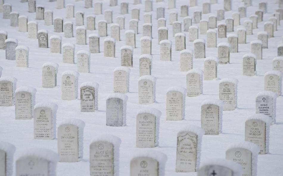 Последний месяц холодной зимы 2011