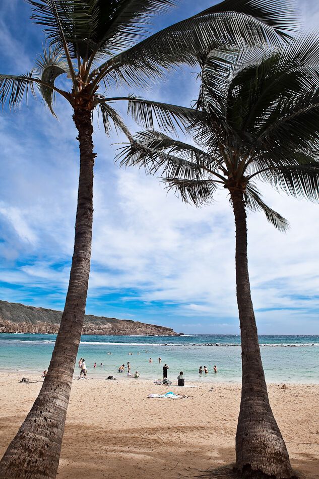 Путешествие на Гавайи