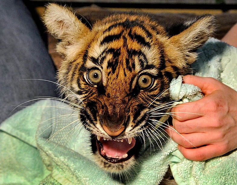 Картина дня: 24 февраля в фотографиях