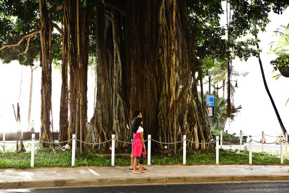 Путешествие на Гавайи