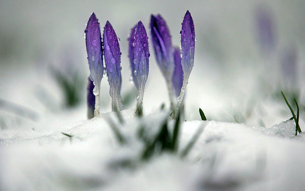 Картина дня: 25 февраля в фотографиях