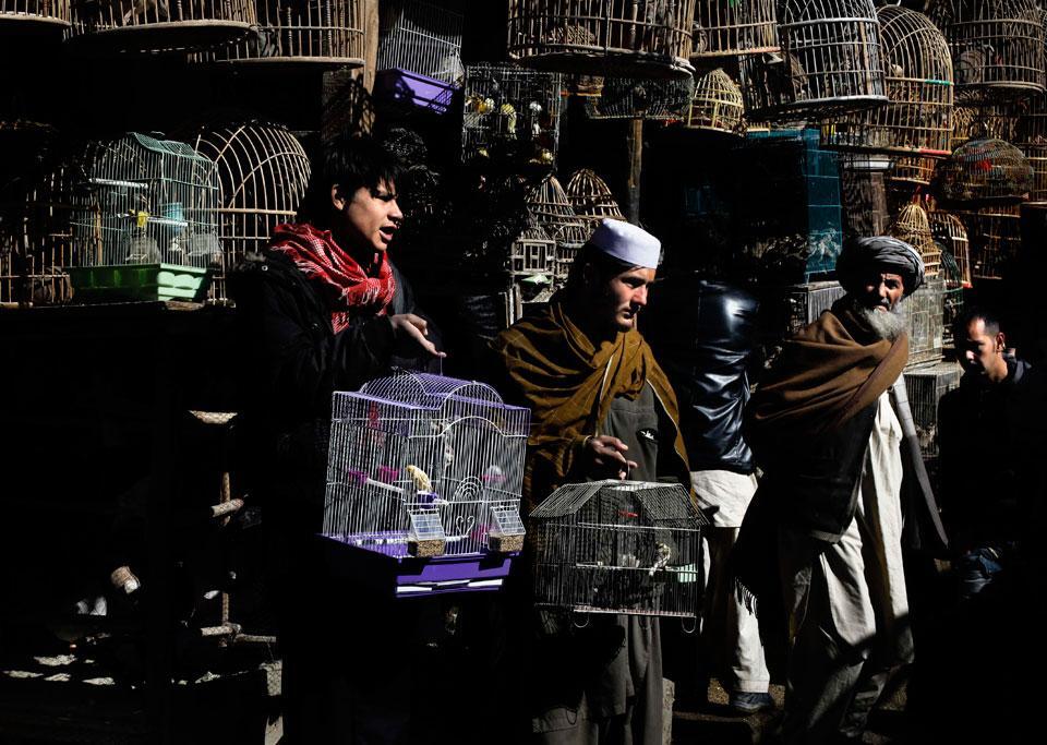 Картина дня: 25 февраля в фотографиях