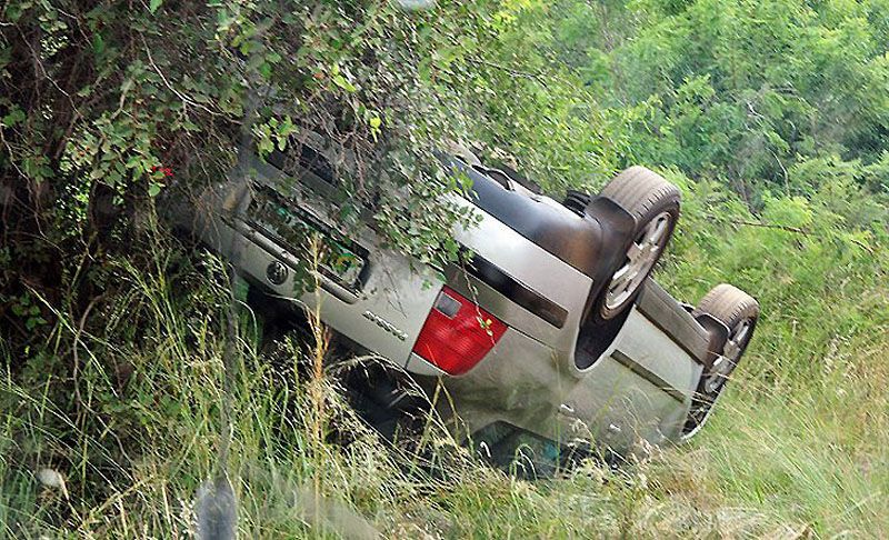 Геть з дороги: Слон проти автомобіля