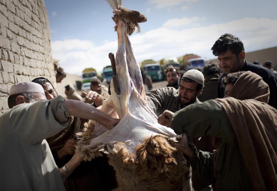 Талибы против водителей автоцистерн